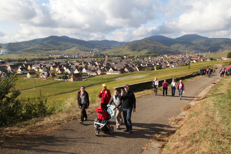 Des marcheurs heureus à la marche gourmande